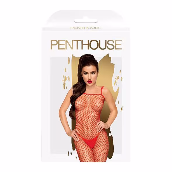 Бодістокінг у велику сітку Penthouse - Body Search Red S/L — фото 3