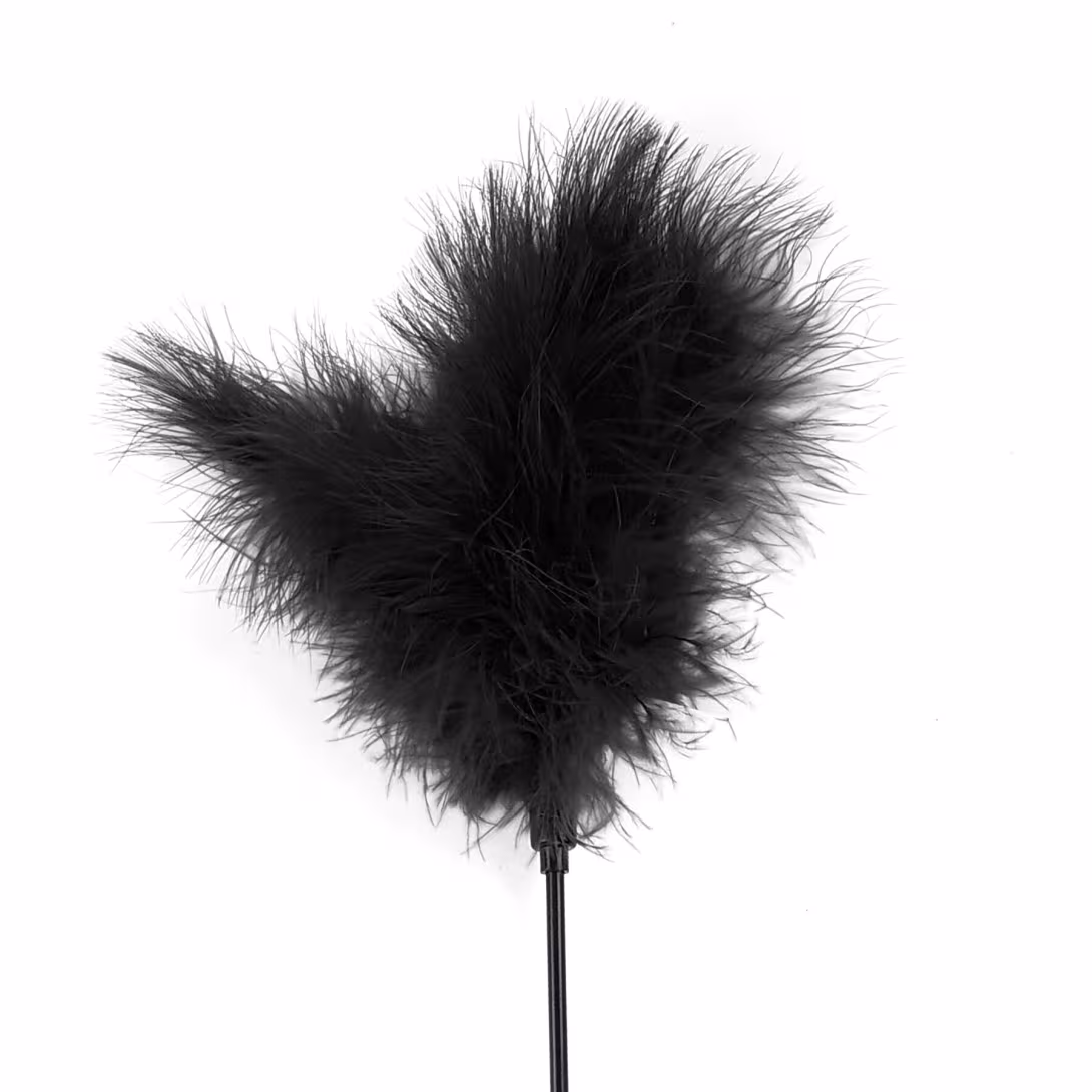 Лоскітка з пером індика Art of Sex – Feather Paddle, чорна — фото 2