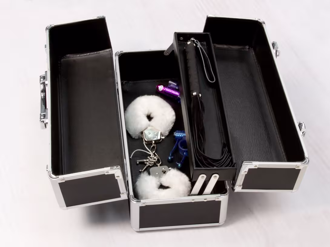 Великий кейс для зберігання секс-іграшок BMS Factory Large Lokable Vibrator Case Black,кодовий замок — фото 6