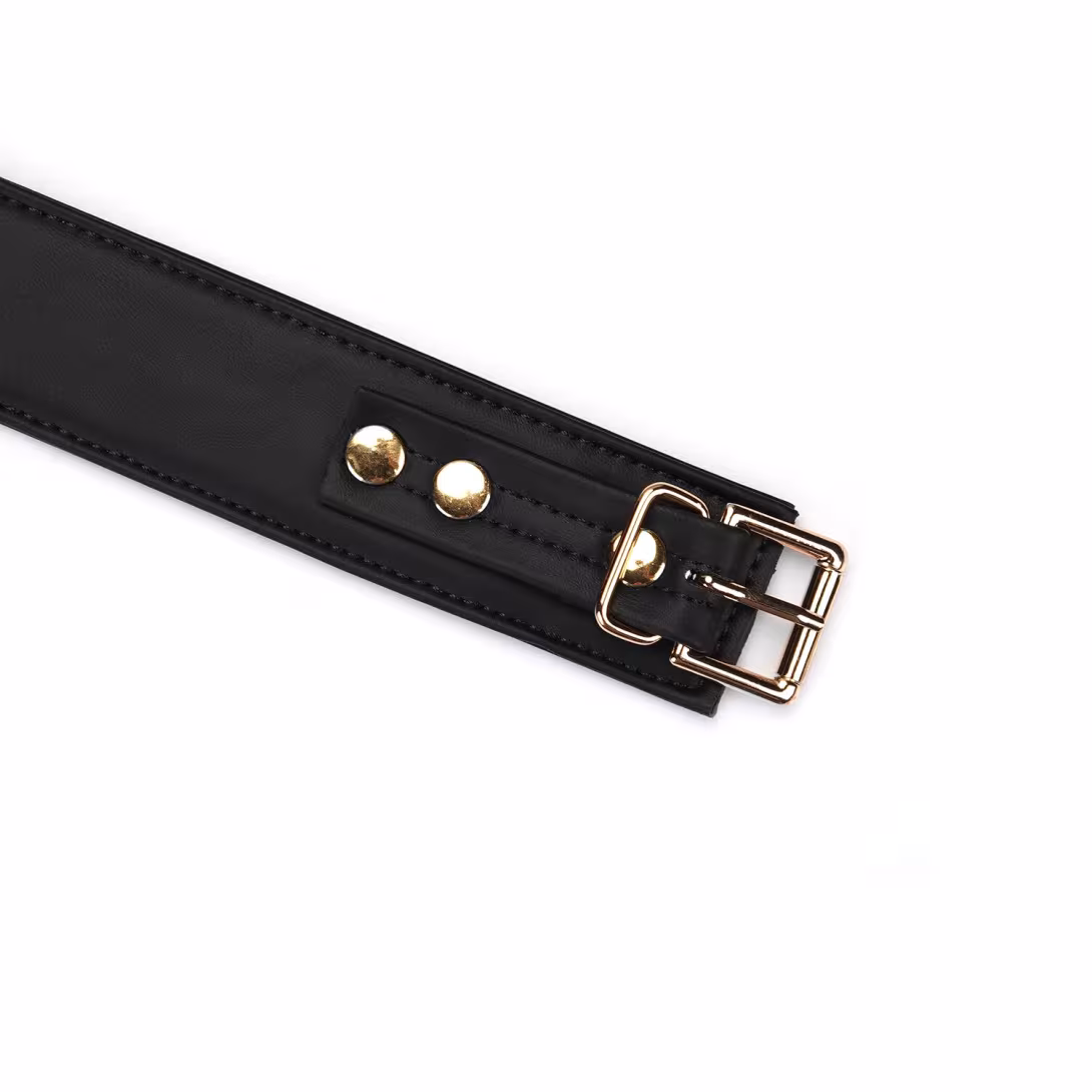 Нашийник з повідцем Liebe Seele Black Organosilicon Collar with Leash, екошкіра — фото 6