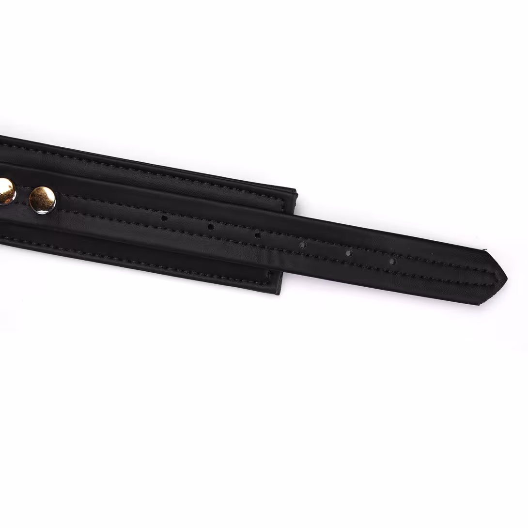 Нашийник з повідцем Liebe Seele Black Organosilicon Collar with Leash, екошкіра — фото 5