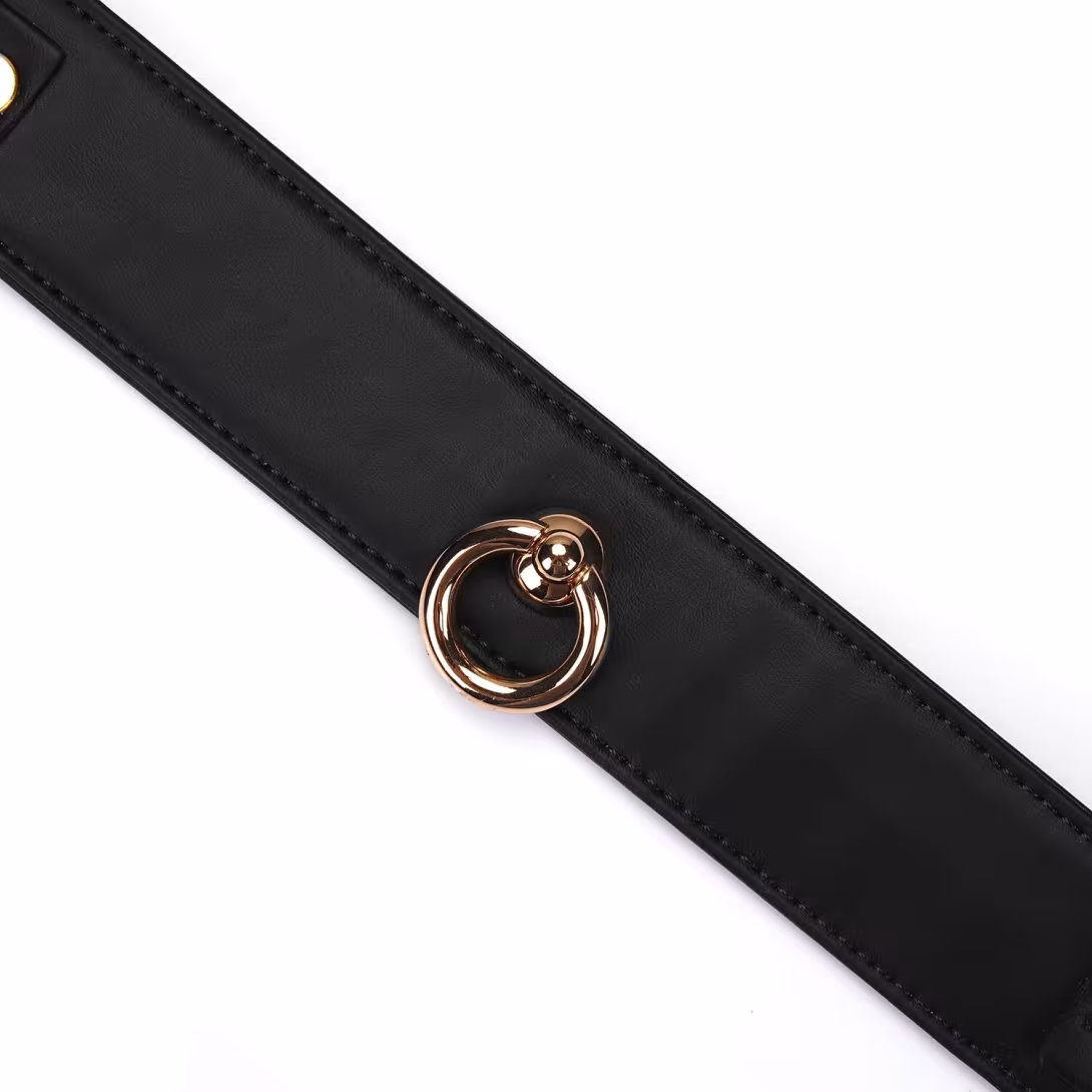 Нашийник з повідцем Liebe Seele Black Organosilicon Collar with Leash, екошкіра — фото 3