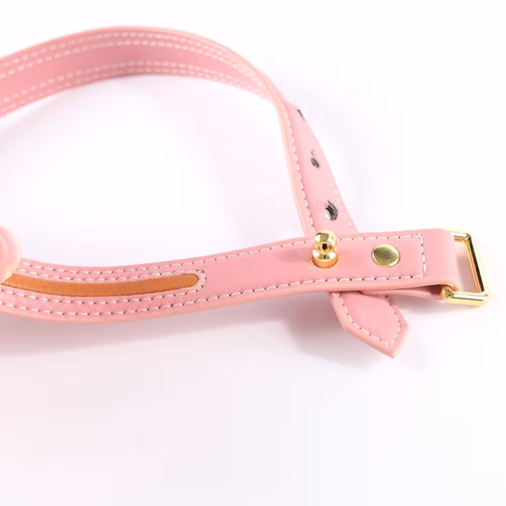 Нашийник з повідцем LOCKINK SEVANDA Love Heart Butterfly Leather Collar Set, рожевий, з бантом — фото 3